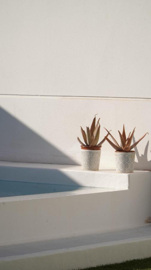 Villa Sol Fuerteventura Ла-Олива Экстерьер фото